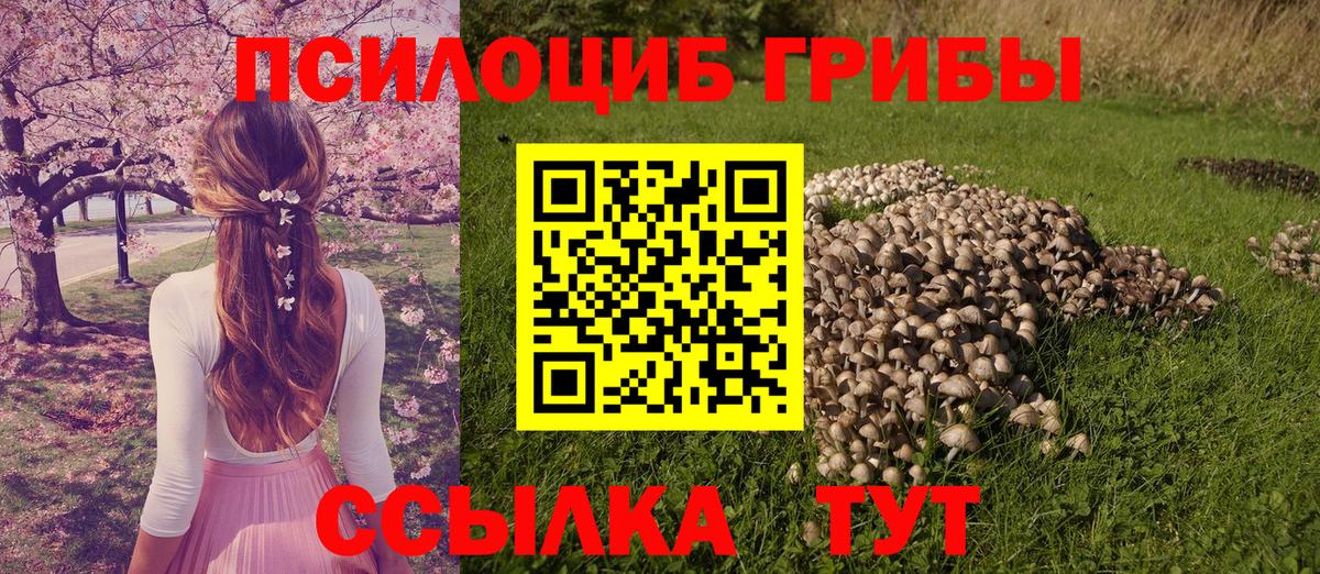 Галлюциногенные грибы Cubensis Кунгур